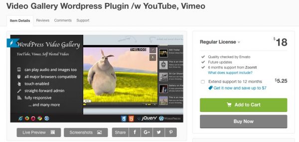 7 of the Best Video Plugins for WordPress Websites and Blogs
