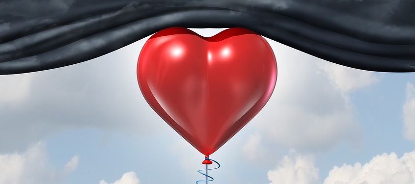 The Psychology Behind the Love of Animation and Online Video The Psychology Behind the Love of Animation and Online Video
